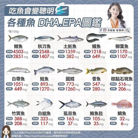 魚類有哪些|魚類：種類和特徵